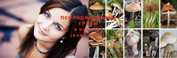 apvp Коряжма