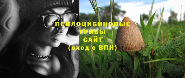 прущая мука Корсаков