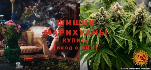 прущая мука Корсаков