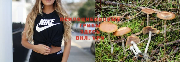 apvp Коряжма