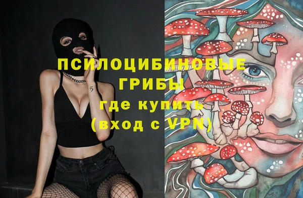 apvp Коряжма