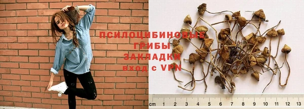 прущая мука Корсаков
